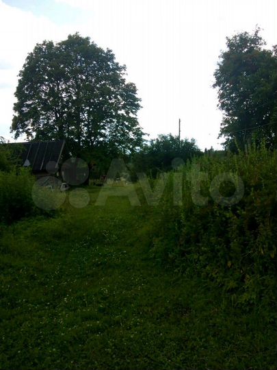 Дом 50 м² на участке 50 сот.