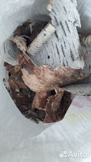 Береста для розжига