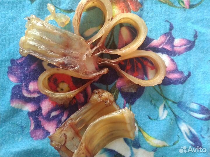 Лакомства для собак