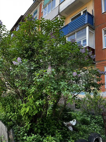 2-к. квартира, 43 м², 5/5 эт.