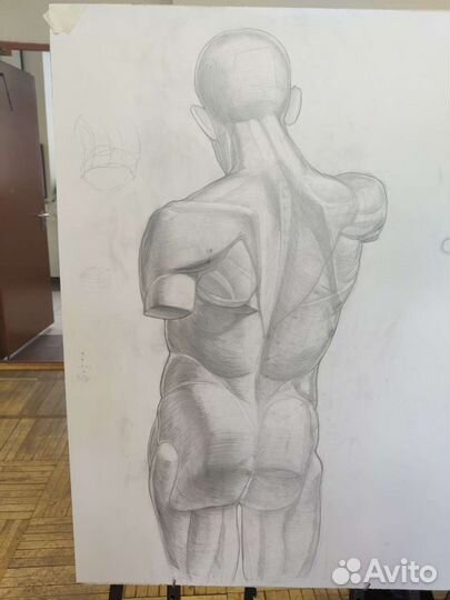 Репетитор по академическому рисунку