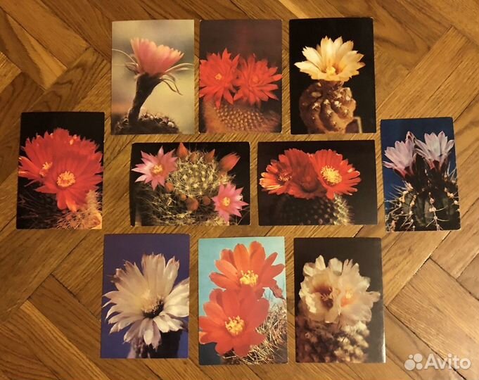 Наборы художественных открыток времён СССР разные