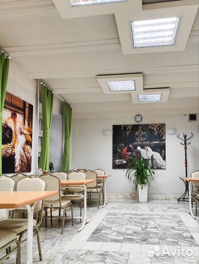 Озеленение под ключ. Алоэ Вера