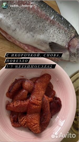 Икорная форель