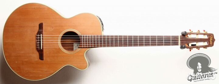 Takamine NPT-110N, Japan 2002