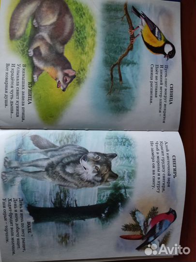 Книга Степанов 