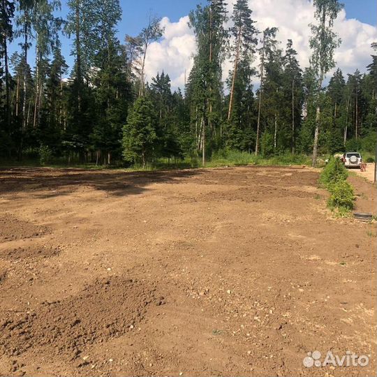 Сад благоустройство