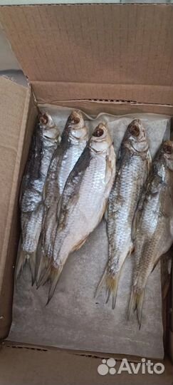 Астраханская Вобла с икрой