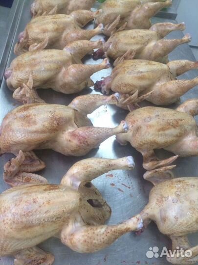 Мясо бройлера, кура - цыплята корнишон