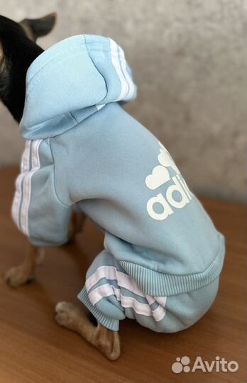 Теплый комбинезон для маленькой собачки