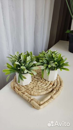 Искусственные цветы, растения, зелень, деревья