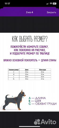 Комбинезон для собаки