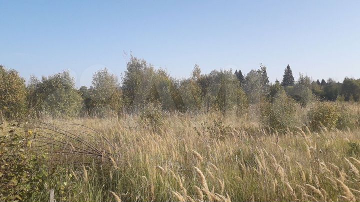 Участок 57,8 сот. (ИЖС)