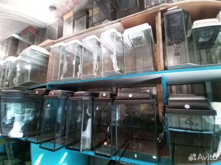 Аквариумы на заказ