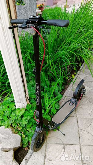 Самокат Black Aqua