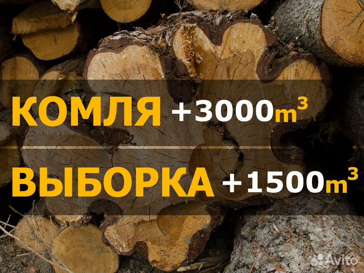 Кругляк / сосна / лиственница / комля / строевой