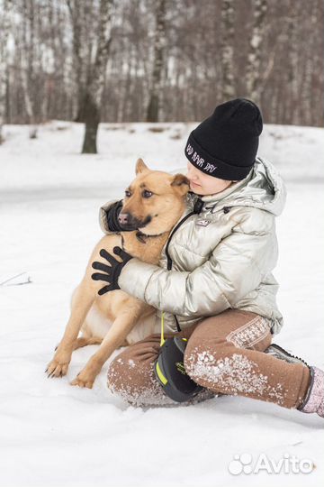 Ялта ждет друга