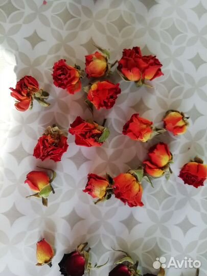 Бутончики и лепестки роз