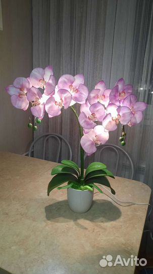 Светильник настольный