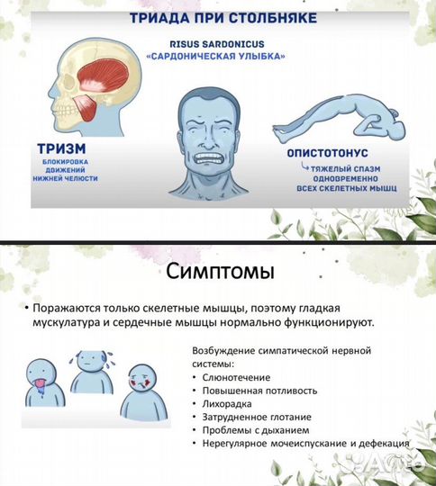 Создание презентаций