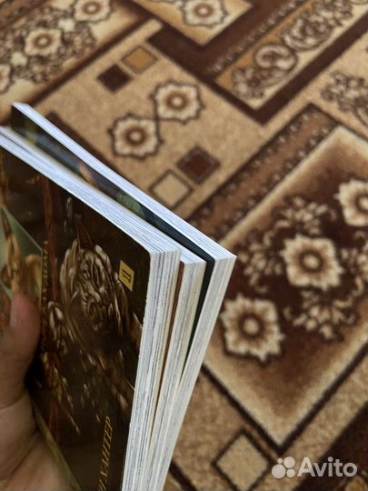 Коты воители манга Звездоцап и Саша