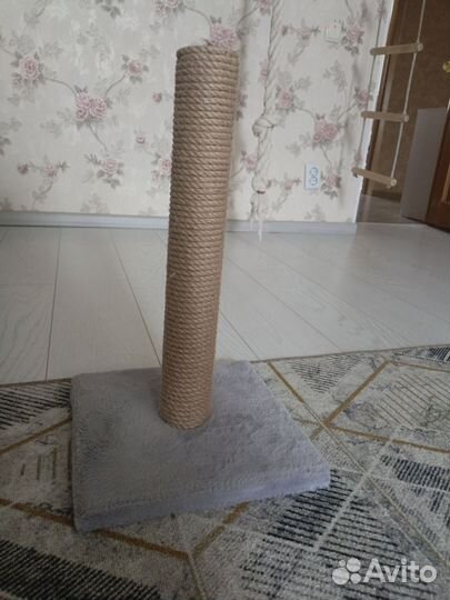 Когтеточка для кошек новая