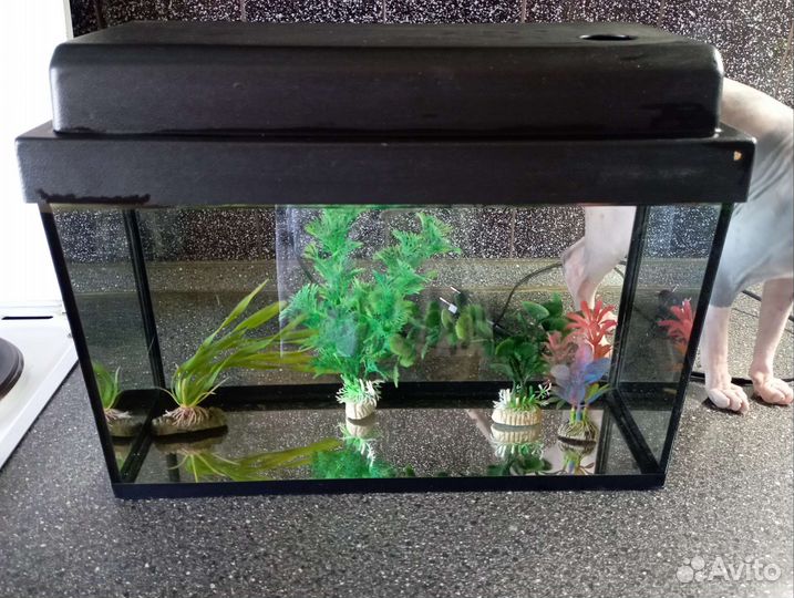 Аквариум