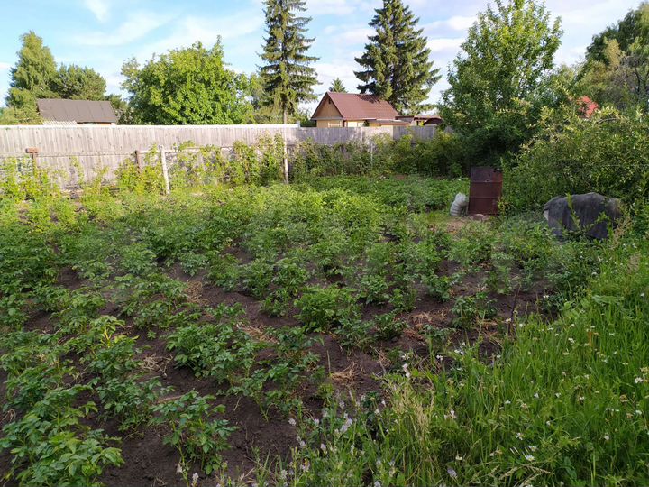 Дача 20 м² на участке 4,3 сот.