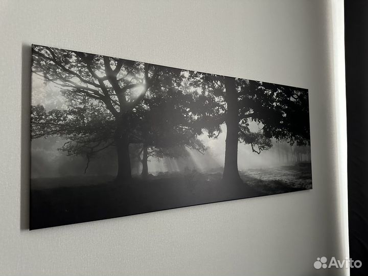 Картина IKEA 140*56