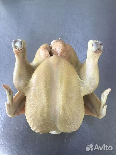 Куры бройлеры тушки мясо опт