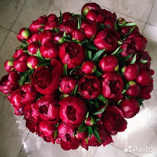 Пионы букет