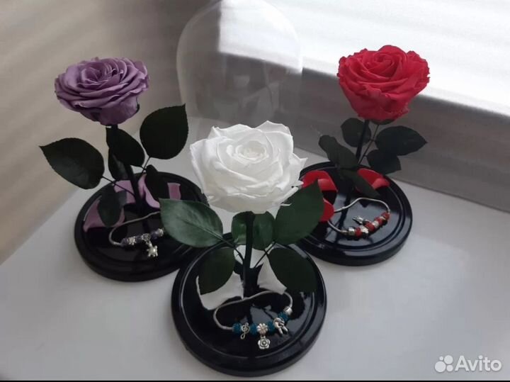 Роза в колбе (вечная роза)