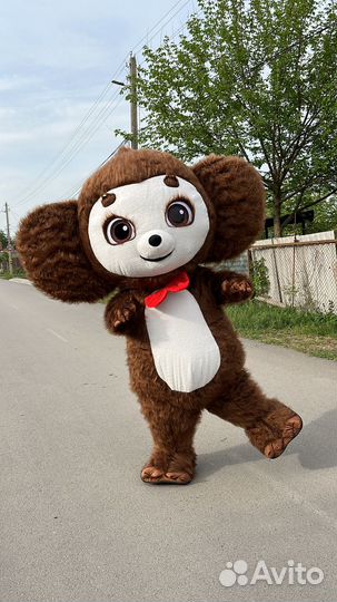 Поздравление