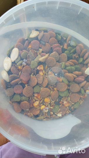 Комплексный корм для грызунов