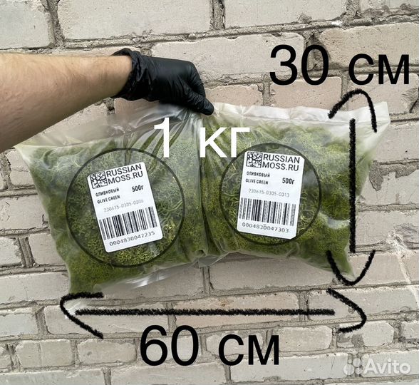 Стабилизированный мох,1 кг