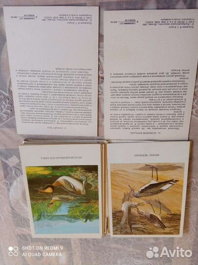 Фото советских артистов