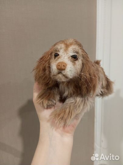 Мягкие игрушки собака