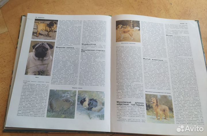 Энциклопедия. Животные в доме