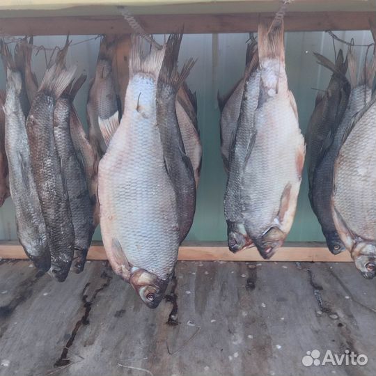 Рыба язь вяленный