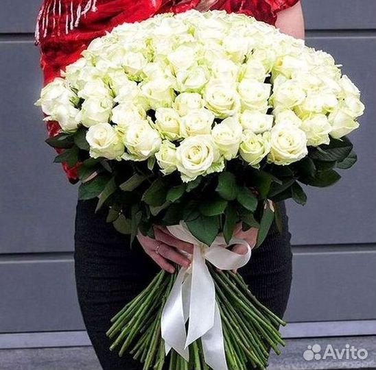 Высокие розы Гигантские Розы 150 160 170 180 190см