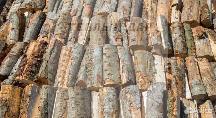 Дрова колотые