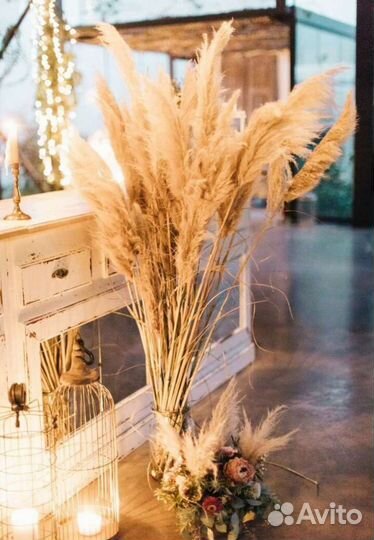 Цветы/сухоцветы/пампасная трава/камыш/украшения