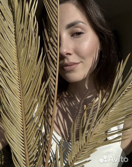 Листья пальмы