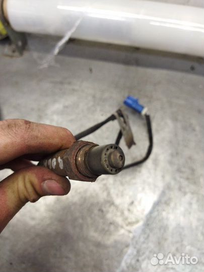 Датчик кислородный Ford Focus 2 хетчбэк 1.8 qqdb