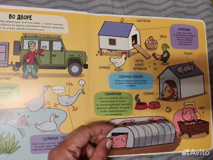 Энциклопедии про животных для малышей