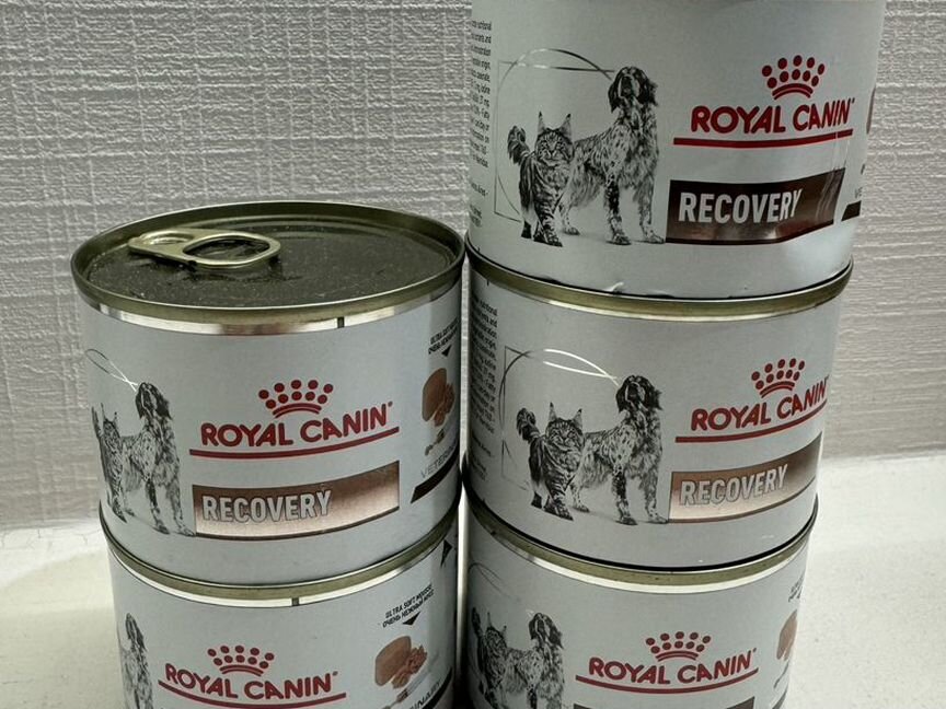 Корм для кошек Royal Canin Recovery