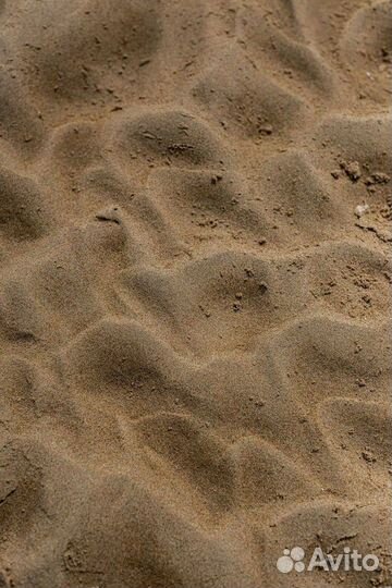 Песок с карьера тараканом