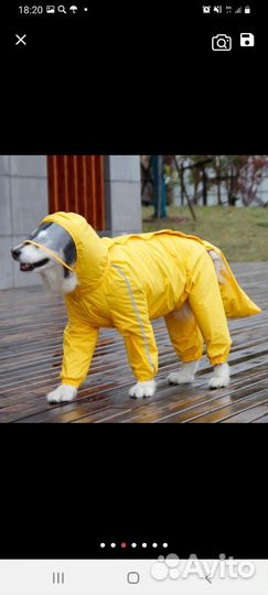 Костюм для собаки (девочка) 8 xl