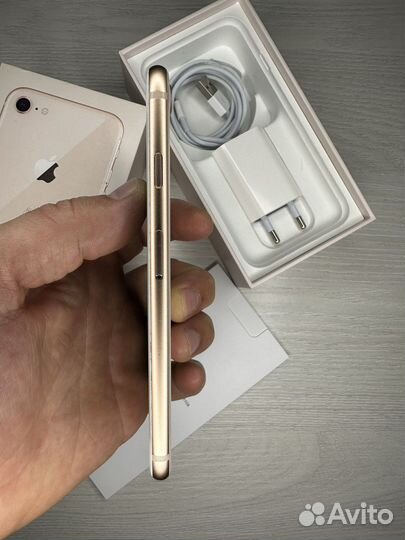 iPhone 8
