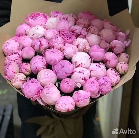 Пионы Букеты Цветы